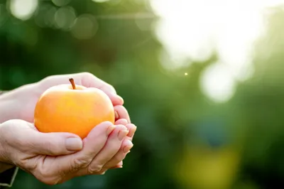 Illustration fall - Image 1