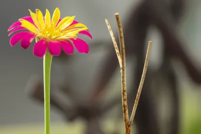 Illustration passible - Image 1