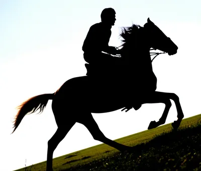 Illustration horseman - Image 1