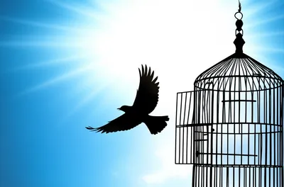 Illustration exempts - Image 1