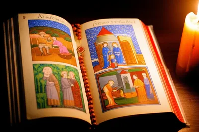 Illustration primers - Image 1