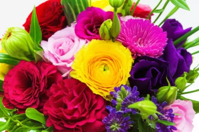 Illustration bouquet