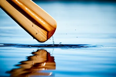 Illustration catches - Image 1