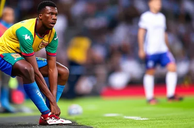 Illustration substitute - Image 1