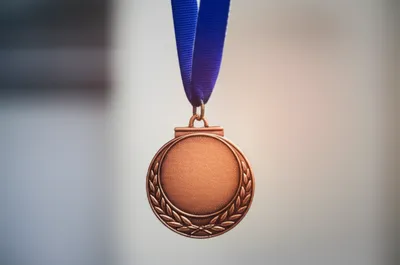 Illustration bronzes - Image 1