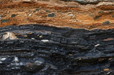 Illustration coals - Image 1