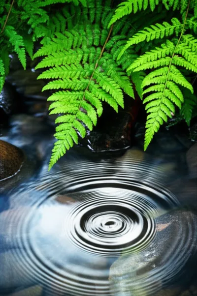 Illustration fresh - Image 1