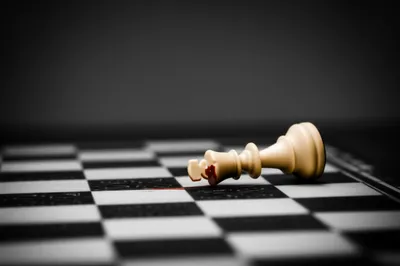 Illustration body - Image 1