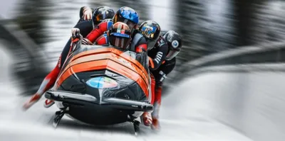 Illustration bobs - Image 1