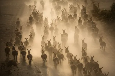 Illustration pace - Image 1