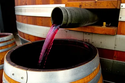 Illustration butts - Image 1