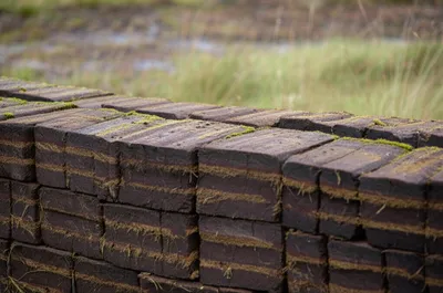 Illustration turfs - Image 1