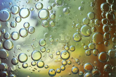 Illustration blebs - Image 1