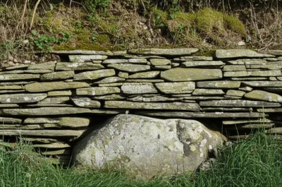 Illustration grounder - Image 1