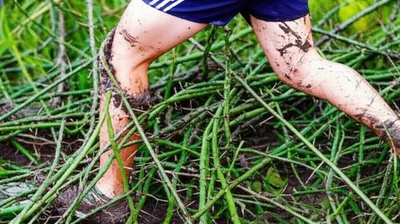 Illustration befoul - Image 1