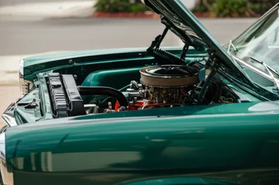 Illustration bunnet - Image 1