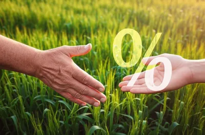 Illustration farmed - Image 1