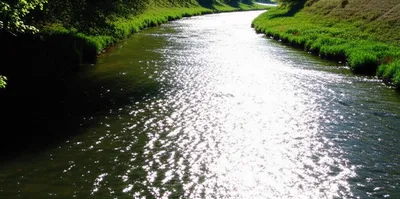 Illustration canalise - Image 1