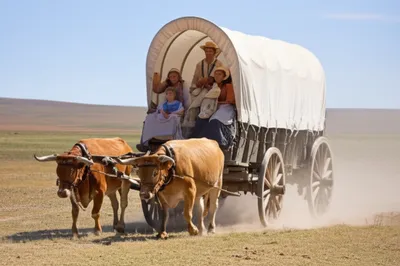 Illustration trekked - Image 1