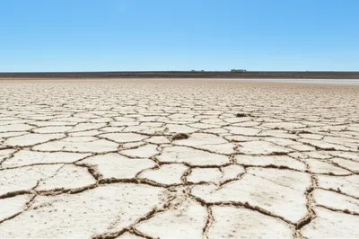 Illustration unsalted - Image 1