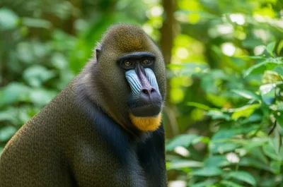 Illustration drills - Image 1