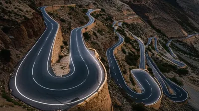 Illustration serpentines - Image 1