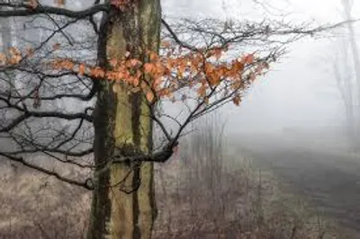 Illustration persistent - Image 3