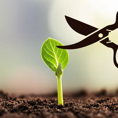 Illustration abortive - Image 1