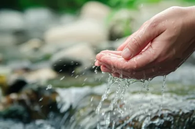Illustration lavatory - Image 1