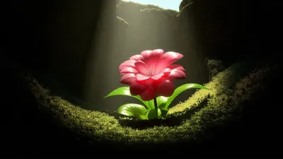 Illustration relieving - Image 1