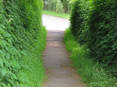 Illustration swerves - Image 1