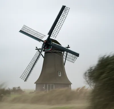 Illustration tailwind - Image 1