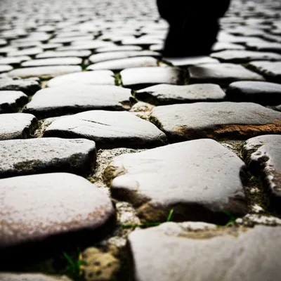 Illustration trodden - Image 1