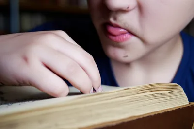 Illustration spelt - Image 1