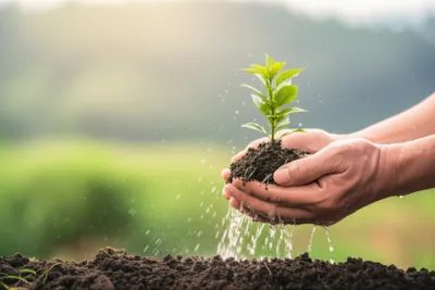 Illustration ground - Image 1