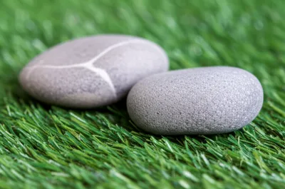 Illustration bullocks - Image 1