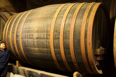 Illustration tun - Image 1