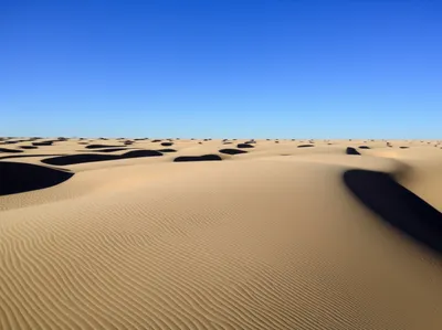 Illustration trackless - Image 1