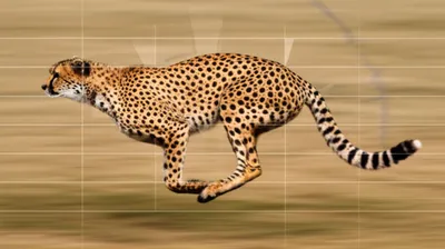 Illustration clock - Image 1