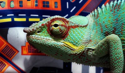 Illustration masked - Image 1