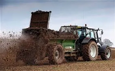 Illustration muck - Image 2