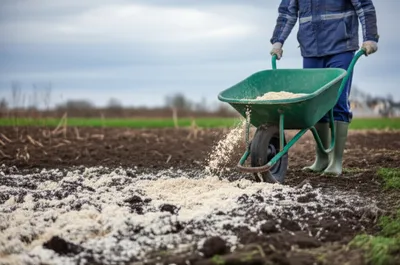 Illustration marling - Image 1