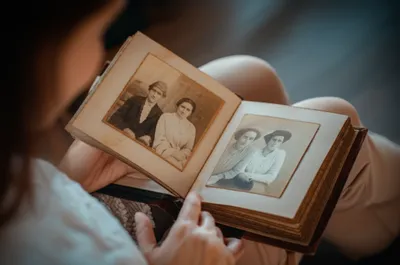 Illustration member - Image 1