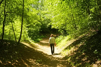 Illustration rambling - Image 1