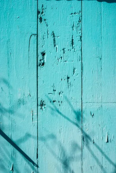 Illustration teal - Image 2