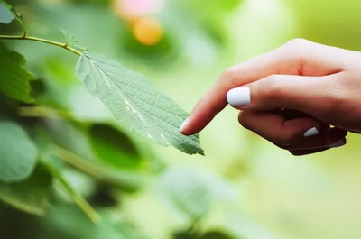 Illustration marked - Image 1