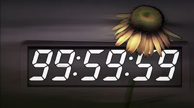 Illustration delaying - Image 1