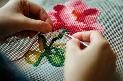 Illustration needlepoint