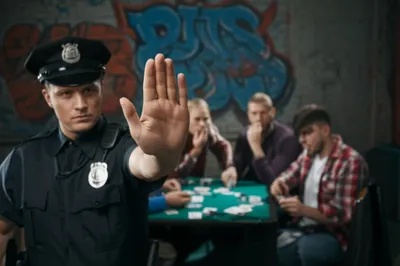 Illustration nark - Image 1