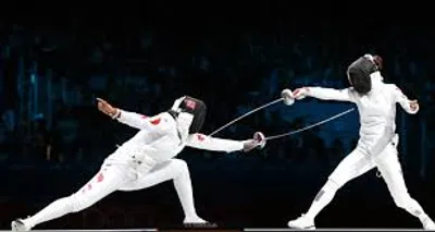 Illustration fencing - Image 2